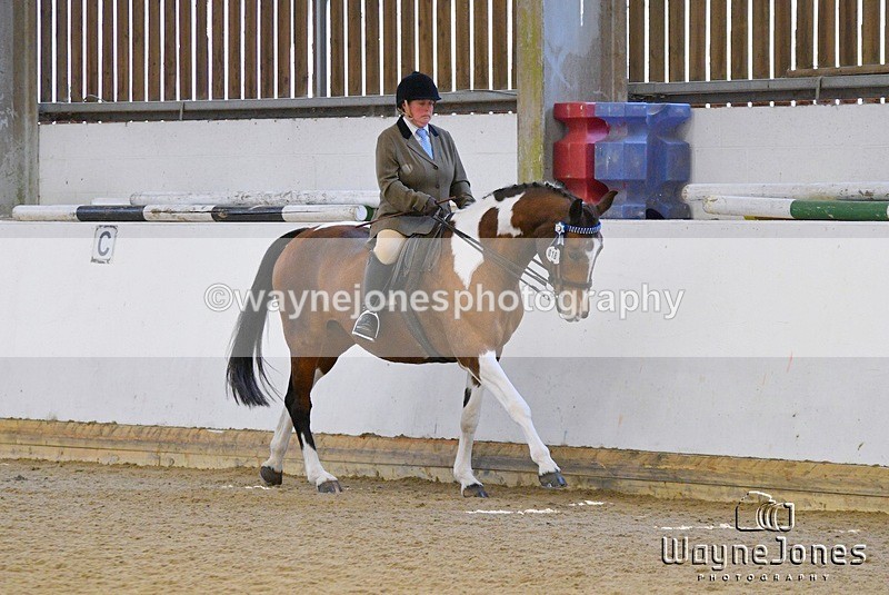 WJ5_5981 - Edited examples