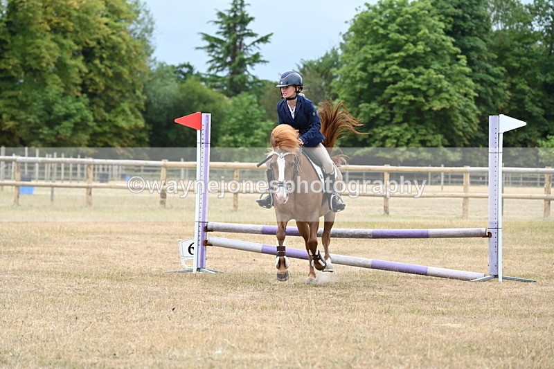 WJ6_0399 - Class 13 Novice Jumping 60cm