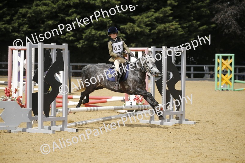 20250622-4022 - 50cm