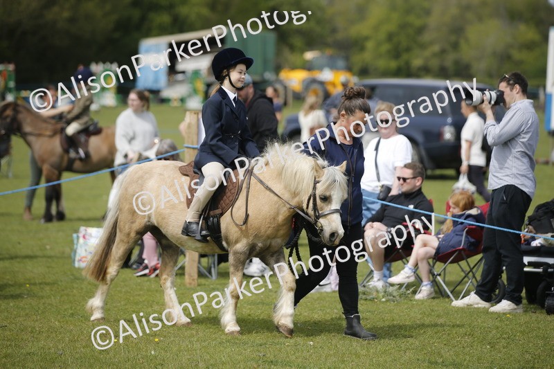 20260426-1935 - Class 8 - Prettiest Mare