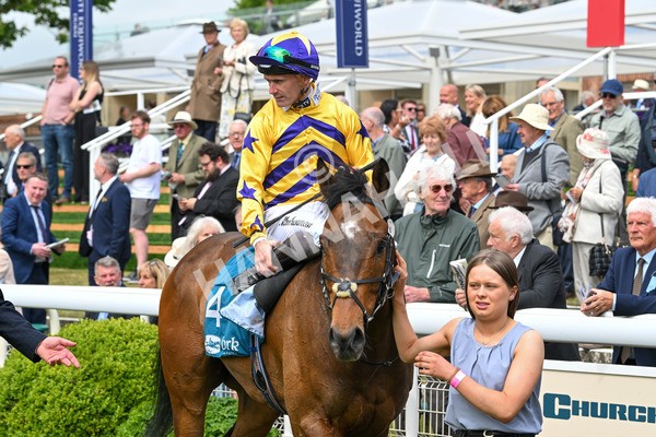 150525-American Affair-3797 - Race 1 2.10pm Lindum York Handicap