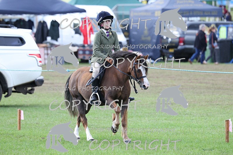 APP_4163 - Class 15a/b Pony club pony/Riding club horse