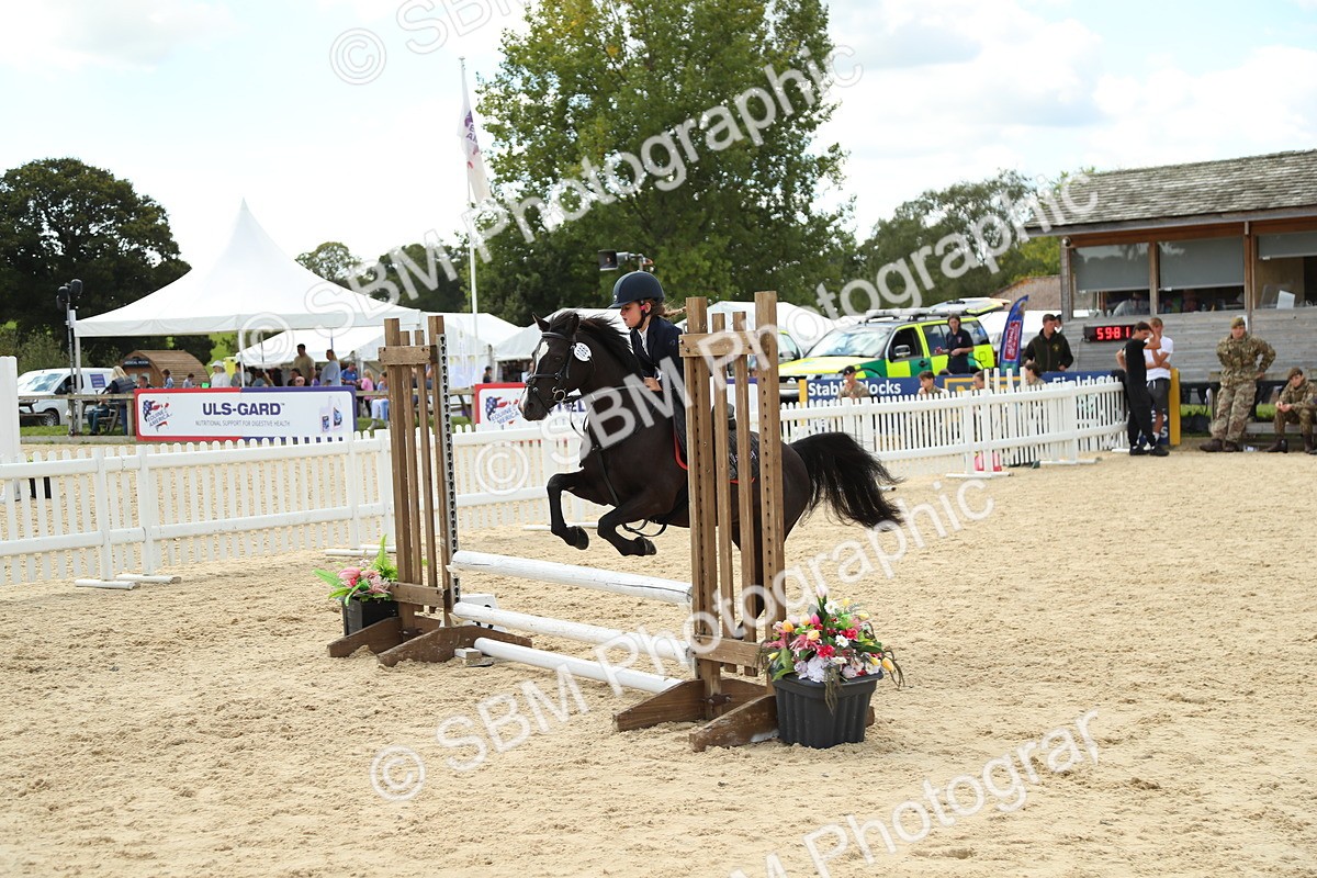 SBM_41410 - J6 - Junior Pony 55cm Championships