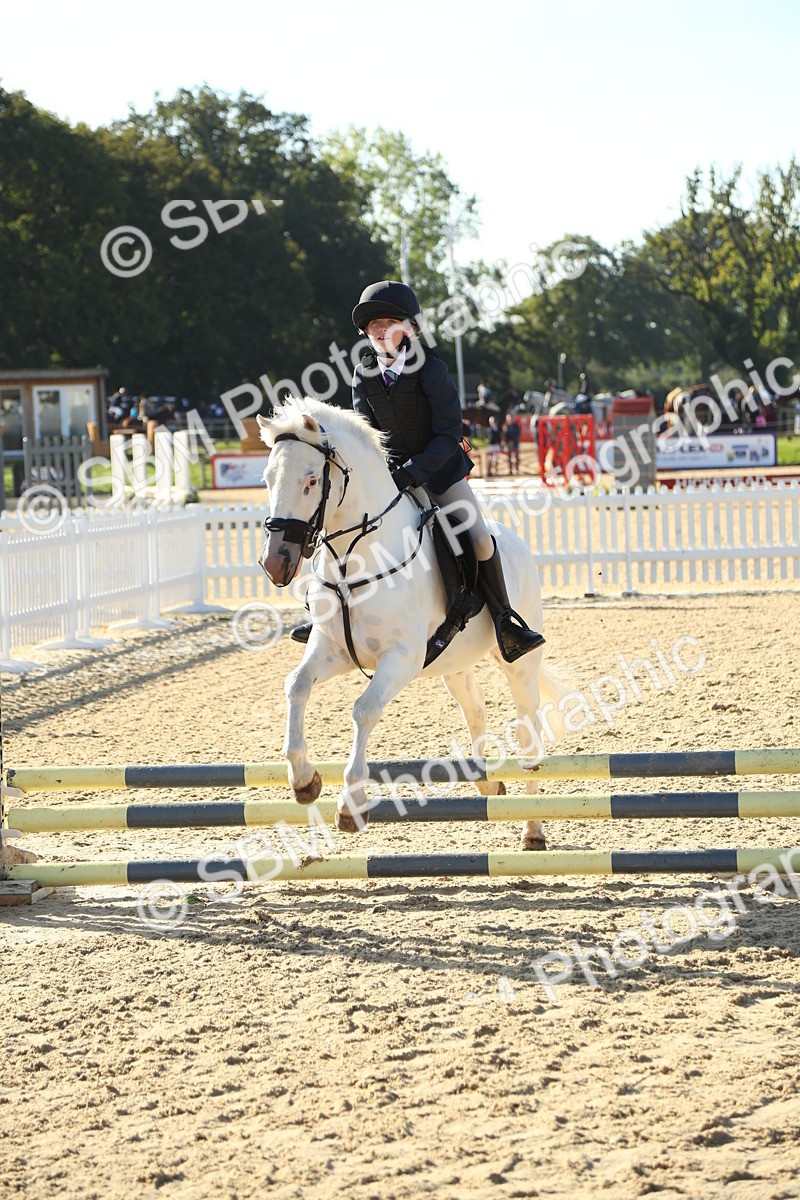 SBM_35833 - J5 - Junior Pony 50cm Championship