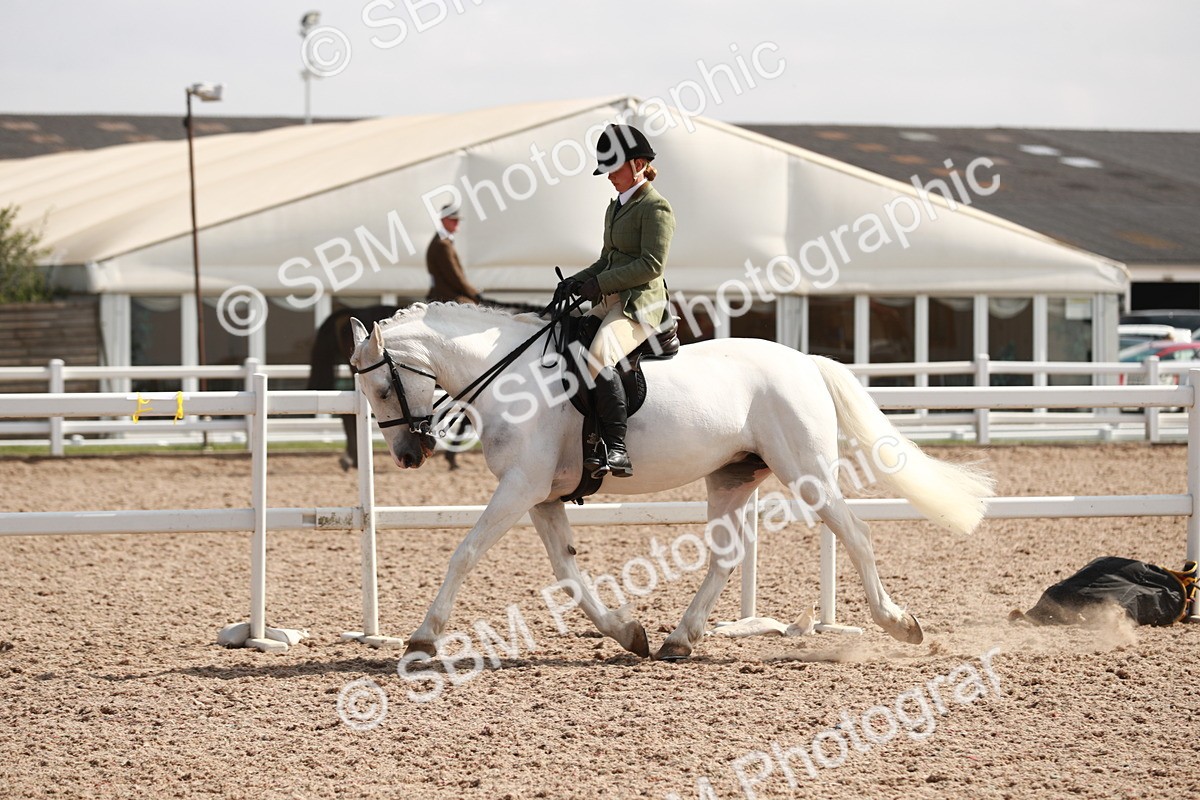 SBM_14864 - Class 212 Ridden Hunter - Small