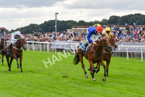 230923-Race 1-Invincible Molly-5870 - Race 1 2.00pm Jigsaw Sports Branding EBF Fillies' Novice Stakes