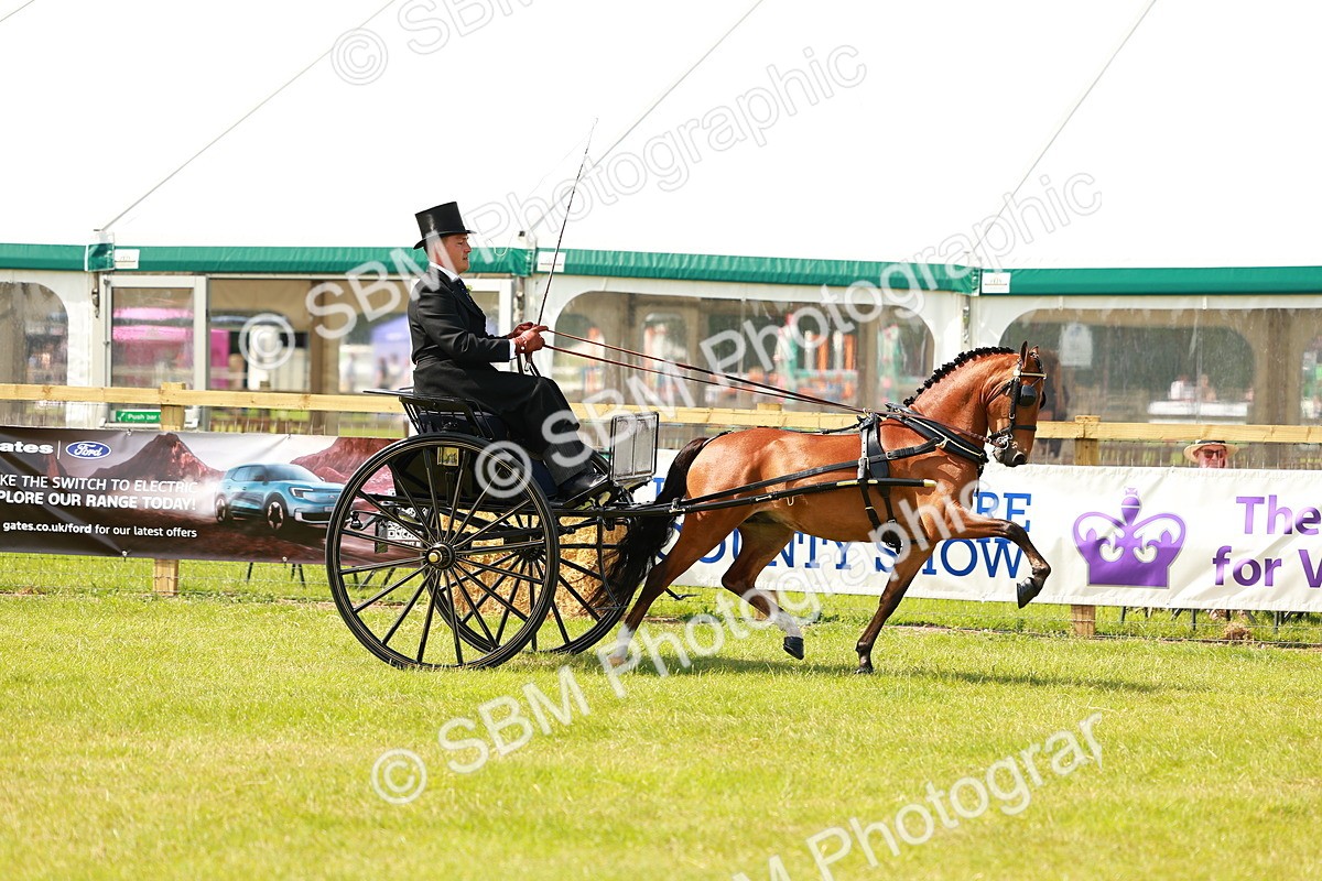 SBM_02724 - Class 2-4 - HOYS Private Driving