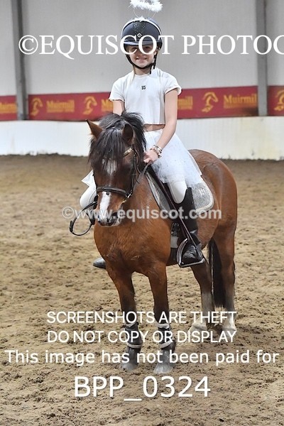 BPP_0324 - CLASS 4 50CM