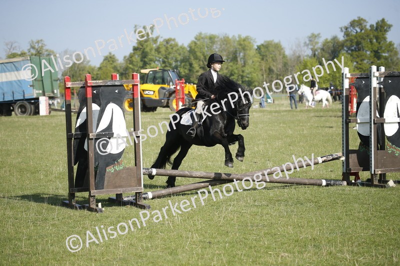 20250427-0319 - Class 12 - Rookie Jumping 40cm