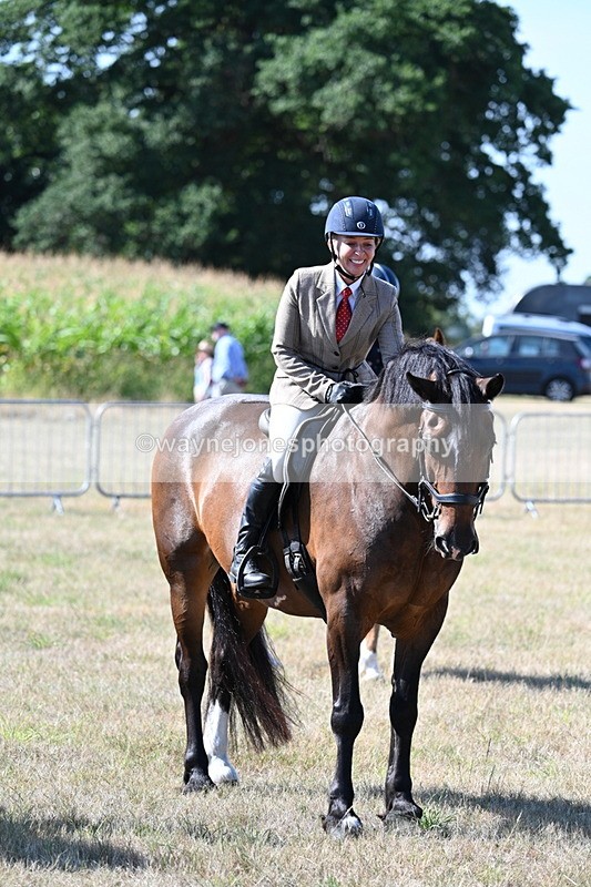 WJ7_3649 - Class 9 Mountain & Moorland Ridden