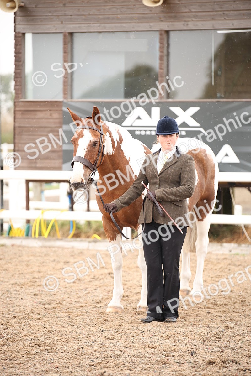 SBM_20129 - Class 702 - IH  Show Horse Pony