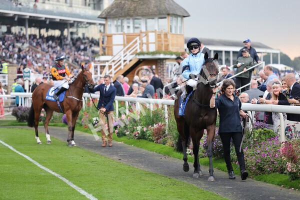 yr09102021r2-10 - Race 2 2.02pm Coral Beaten-By-A-Length Free Bet Rockingham Stakes