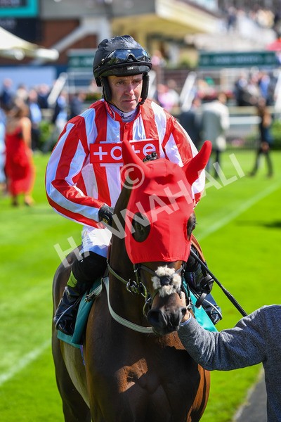 150723-Race 3-Astro King-0278 - Race 3 3.10pm John Smith's Cup Handicap