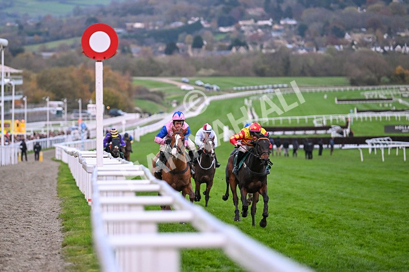 171124-Race 6-Fortune De Mer-4590 - Race 6