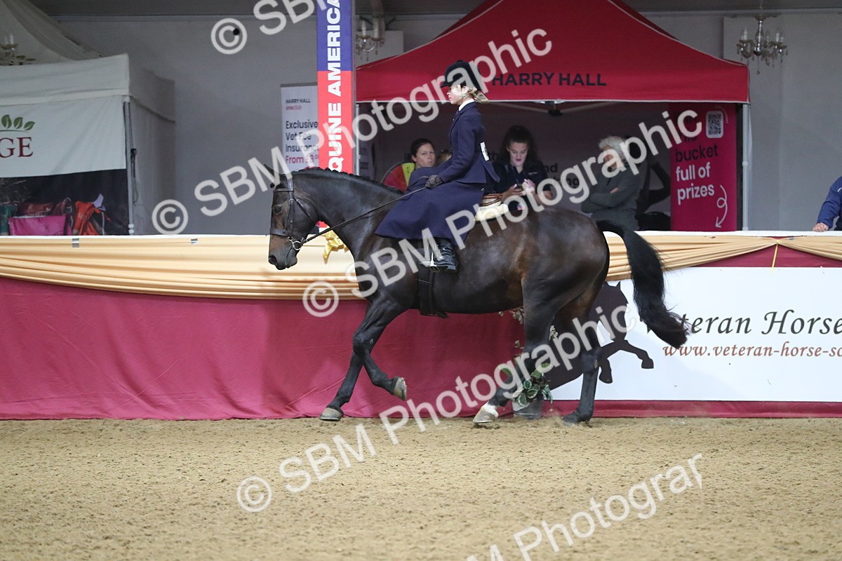 SBM_09334 - Class 101 Equitation (best rider), Junior