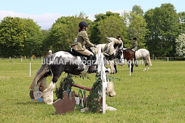 IMG_3179 - Working Hunter