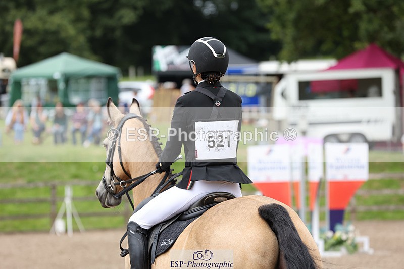 240804-125913-13537 - 521-Lily_Howell-WOODFIELD_GOLD