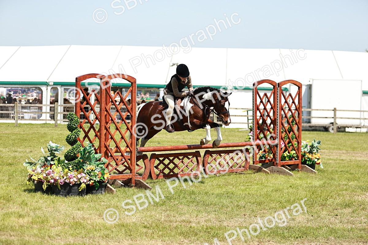 SBM_16355 - Class 110-111 - Training Stakes (70cms 80cms)