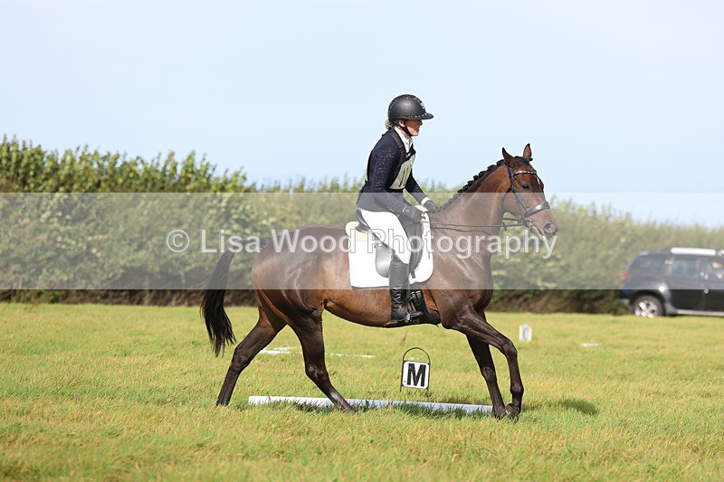 3E7A6171 - Class 1: Trebudannon Open: Dressage (Part 2)