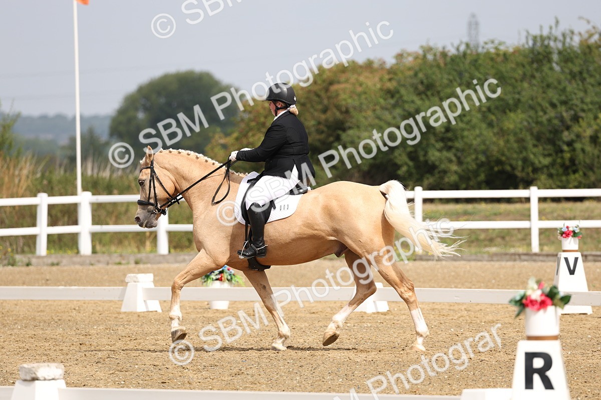 SBM_005823 - Class 6 - Novice 6 - 10.26-11.29