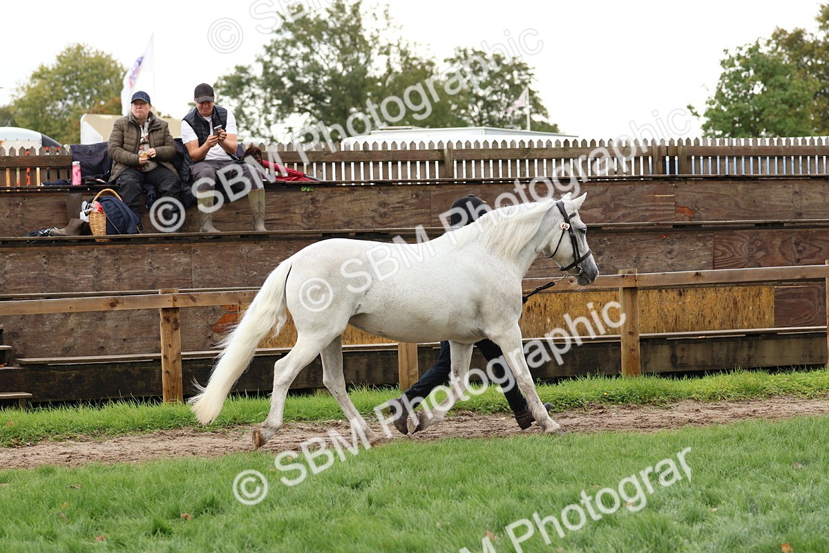 SBM_39481 - S24 - Young Veteran In Hand