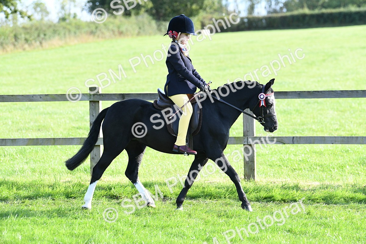SBM_52391 - S22 - 1st Ridden Show & Show Hunter Pony