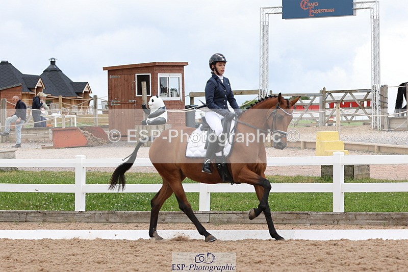 240622A-133534-11791 - Cls 29 BD Elementary 45