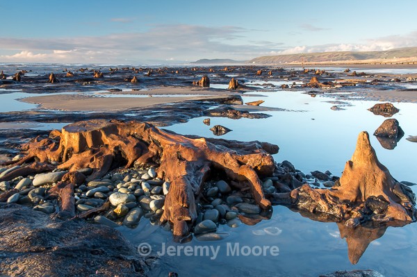 M301 - Snowdonia & Mid-Wales p/c catalogue