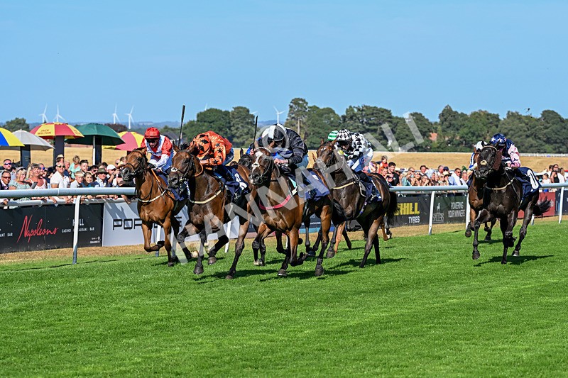 120826-Race 6-Rumble Ruby-7480 - Race 6 16.45pm Nation Radio Yorkshire Handicap