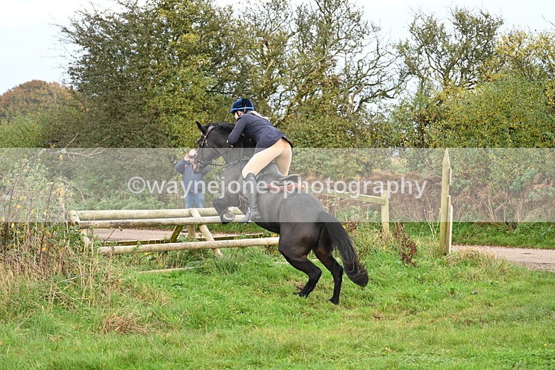 WJ7_0284 - Camera 1 & Last fence