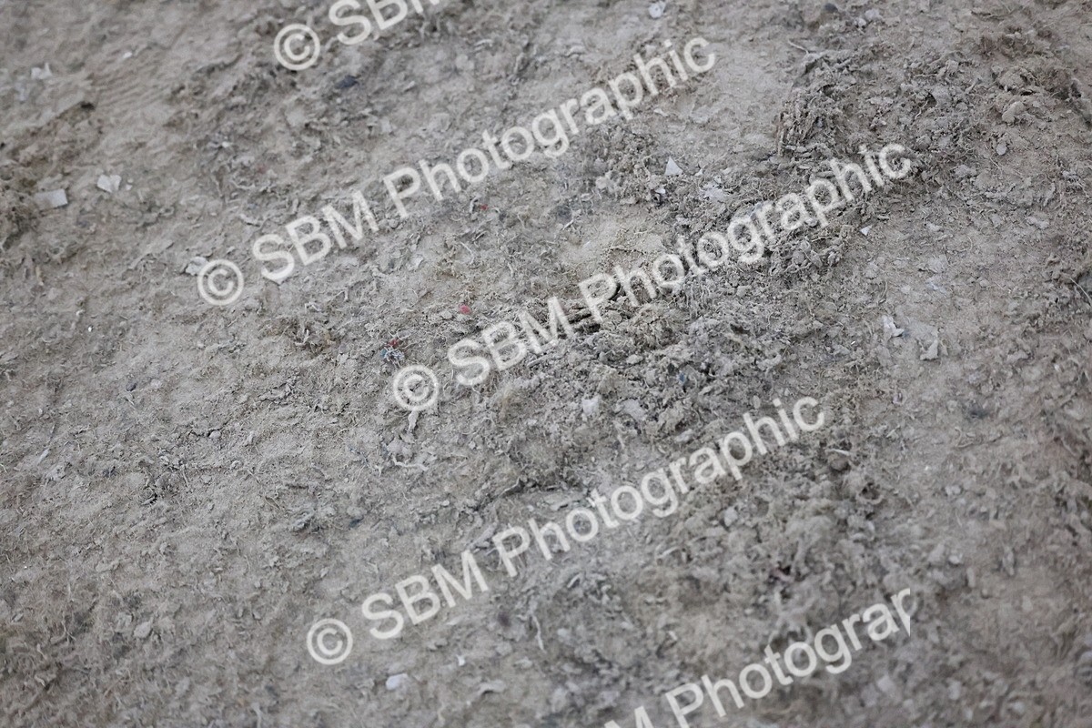 SBM_006015 - Evening Performance