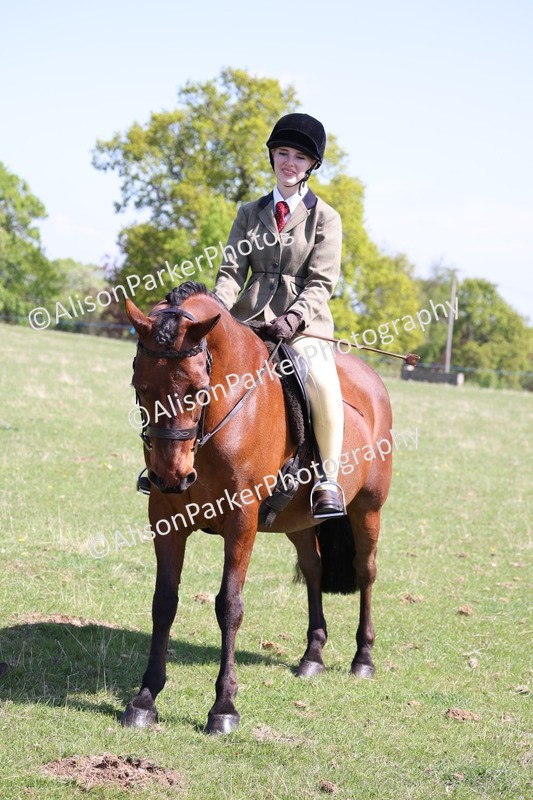 20250427-3266 - Class 33 - Best Pony 14.2hh and Under