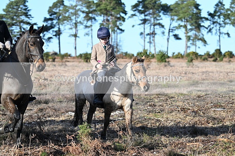 WJ7_7398 - Line 3 (no line 4 or 5)