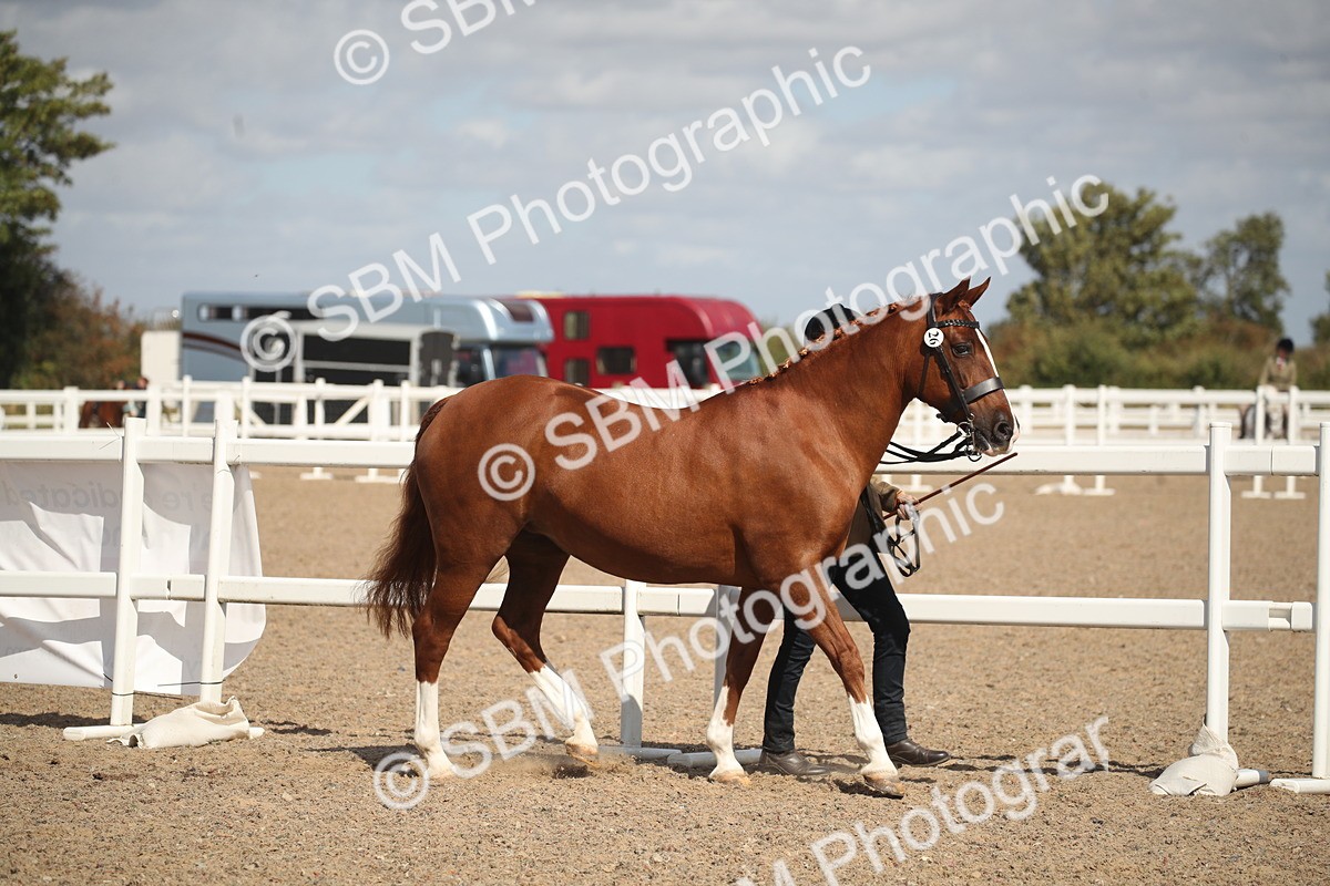SBM_23412 - Class 604 - 2026 - Area IH Diamond