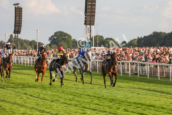 260724-Race 5-Verbier-4143 - Race 5 7.50pm British EBF Lyric Fillies' Stakes