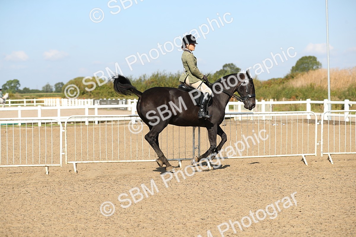 SBM_02227 - Class 43 Ridden Competition Horse/Pony