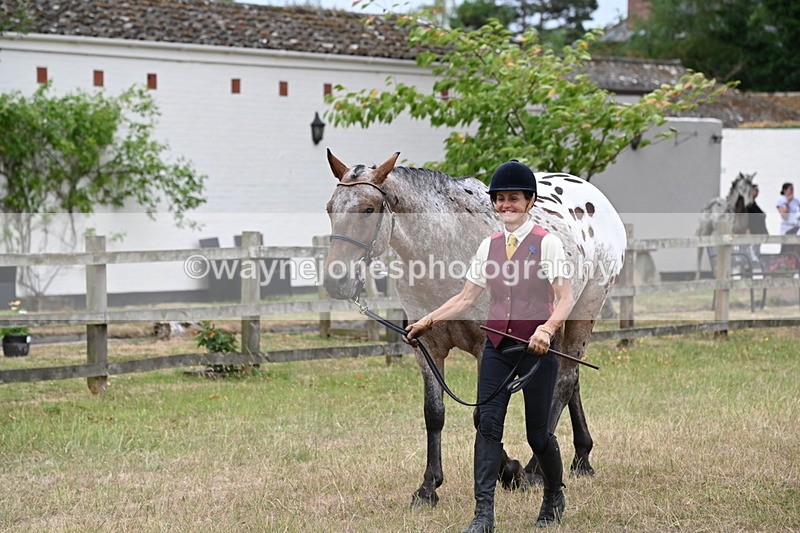 WJ6_7996 - Class 10 Coloured in Hand
