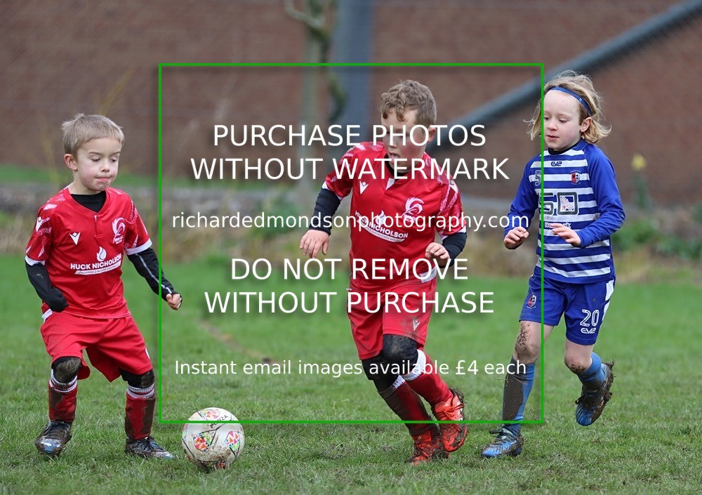 IMG_9097 - Ibis Under 7's vs Ambleside JFC Under 7's (2/3/24)