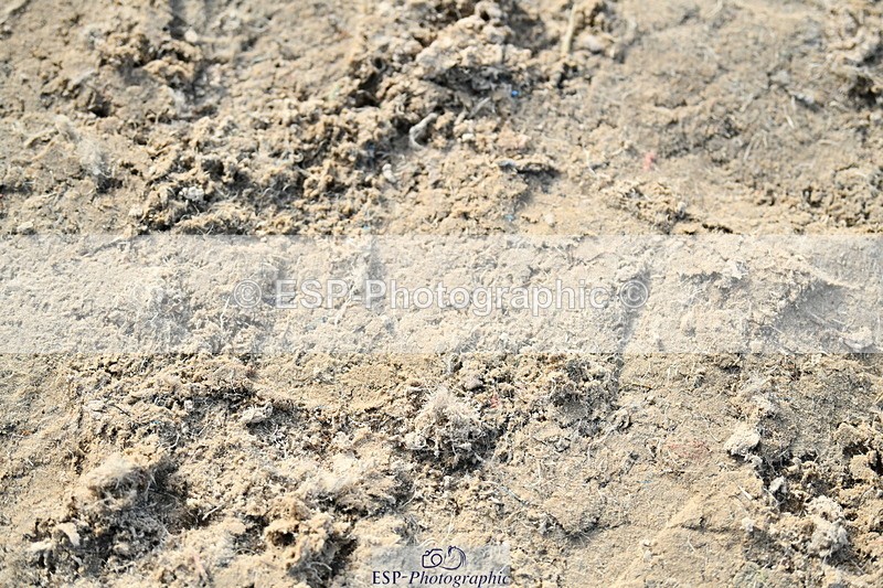 251004A-154203-01945 - Classes 8 & 9 70cm