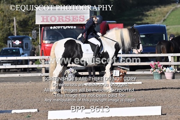 BPP_8613 - SHORT ARENA INTRO 3