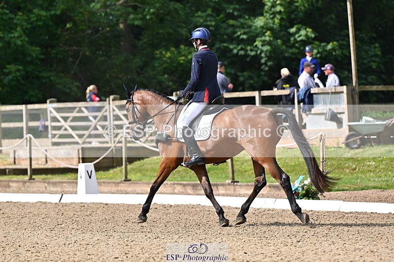 250523A-094032-05303 - C-258-Bill.Levett-ITALIAN.HARLEQUIN.NJ