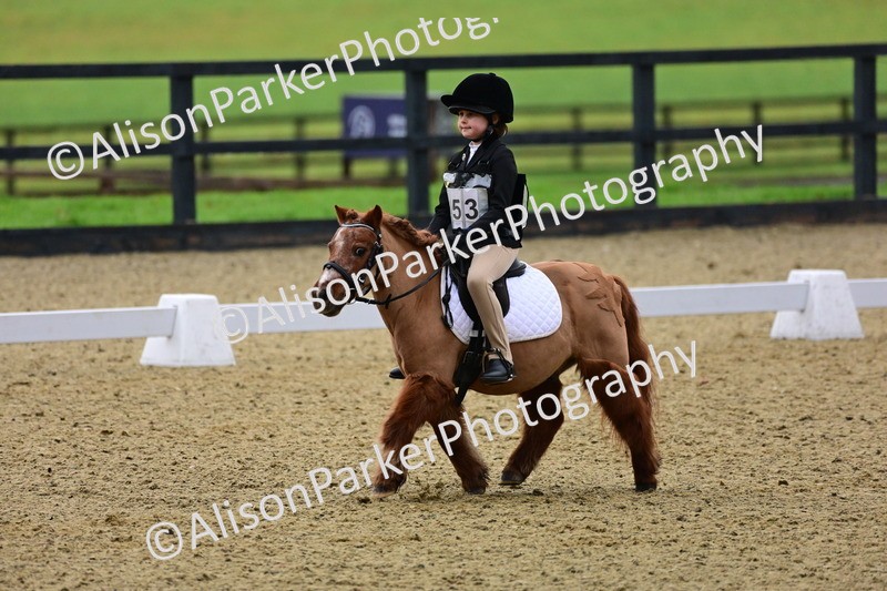 20260125-0550 - Class 9b - Walk Trot Unassisted