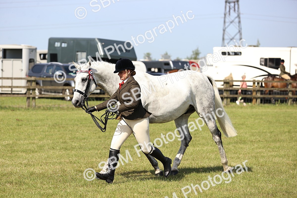 SBM_12944 - Class 75-76 LIHS BSHA Rising Star Hack Riding Horse