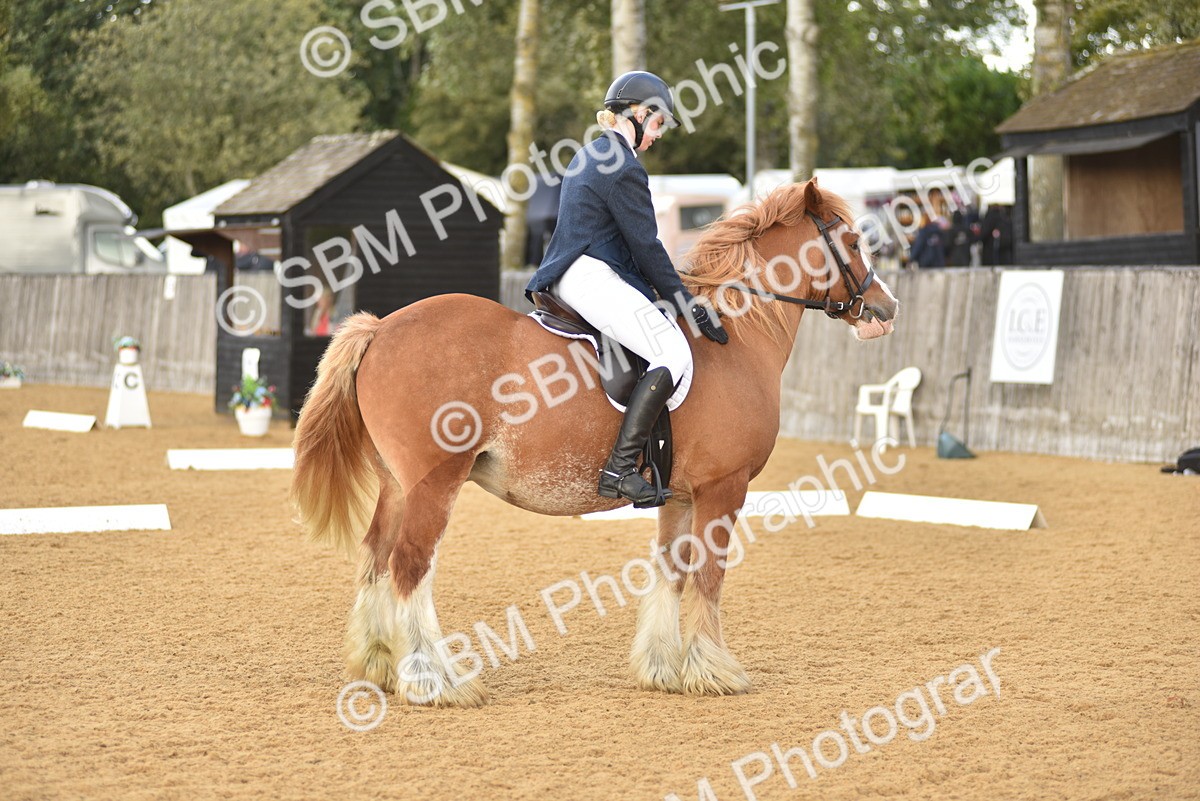 SBM_29631 - D16 -Small Tour Championship Novice 2