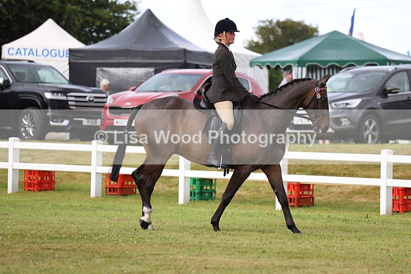 3E7A7972 - Class 2: Rising Star Large Hack/Riding Horse