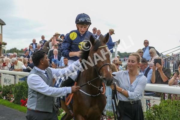 240823-Race 5-Sea Theme-5353 - Race 5 4.10pm British EBF & Sir Henry Cecil Galtres Stakes