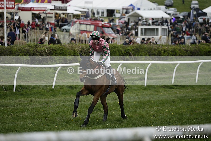 PtP 170417 563 - Old Berks Point-to-Point Lockinge 17/04/17