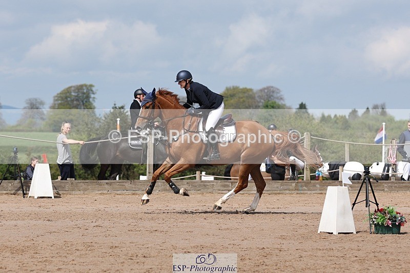 250427-113013-15954 - Cls 36 Young Horse 7yr old