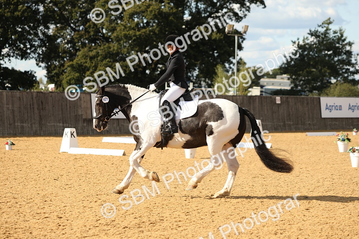 SBM_26719 - D17 - Grand Tour Championship - Novice 27