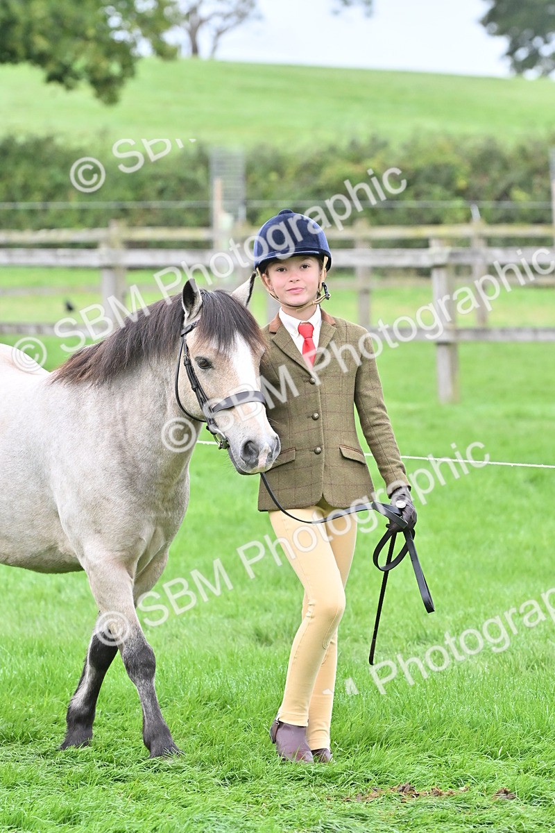 SBM_60916 - S48 - Mountain & Moorland In Hand Small Breeds